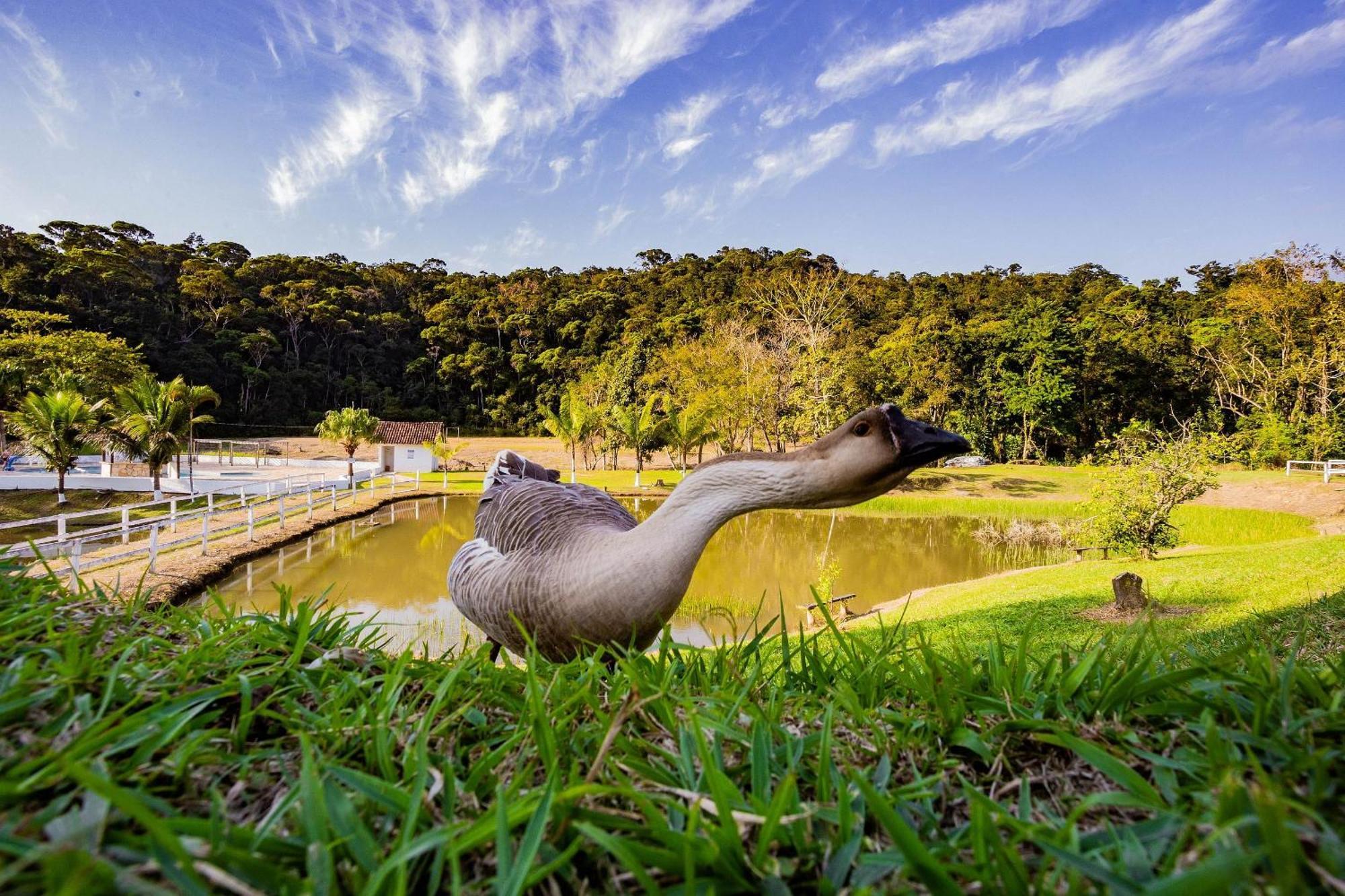 Recanto Das Aguas - Chales No Meio Da Mata Atlantica Eldorado Dış mekan fotoğraf