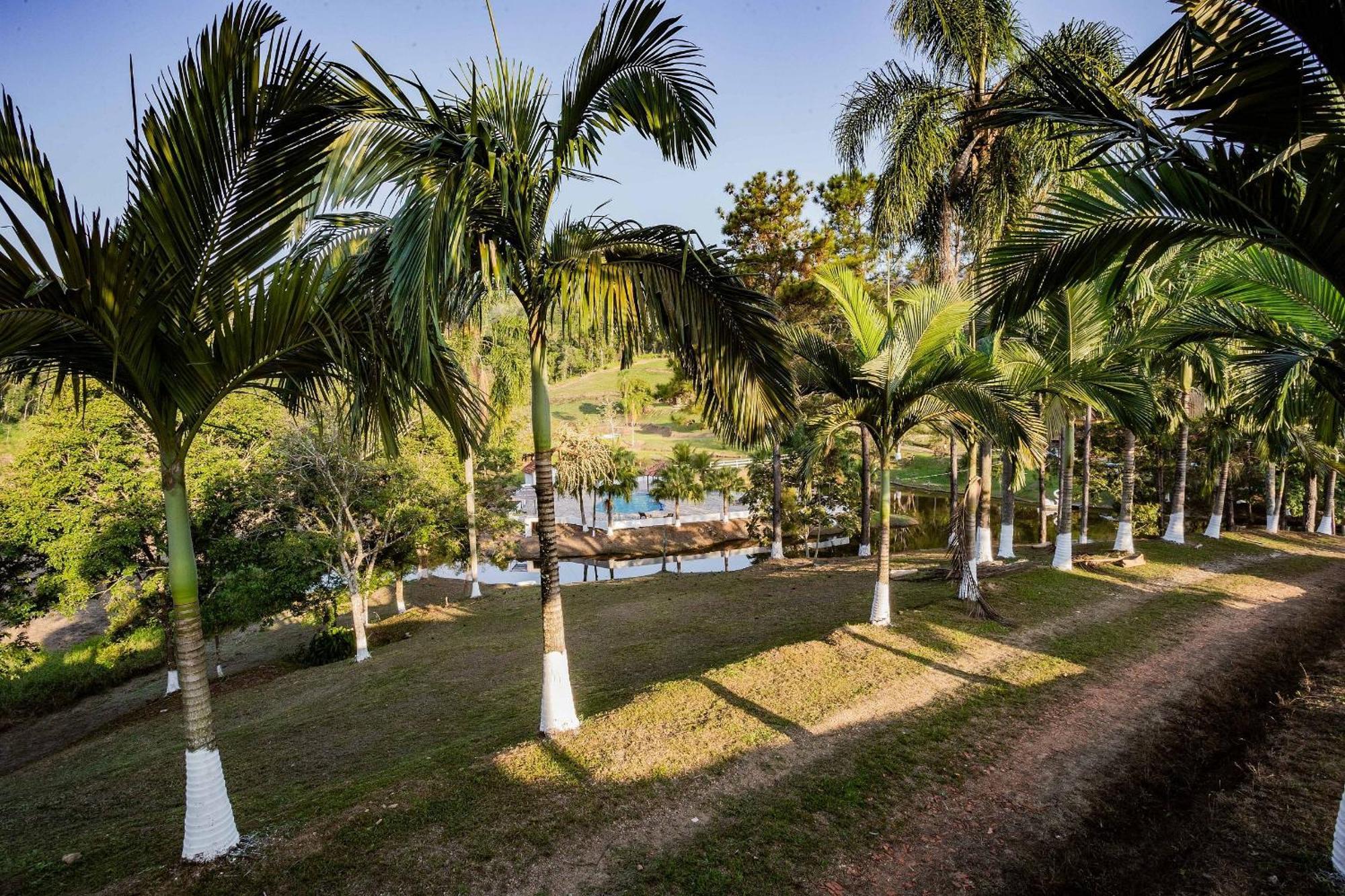 Recanto Das Aguas - Chales No Meio Da Mata Atlantica Eldorado Dış mekan fotoğraf
